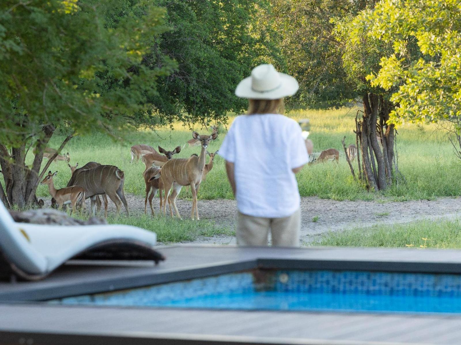 Leopard Plains Villa Motopi Eksteriør bilde